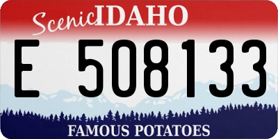 ID license plate E508133