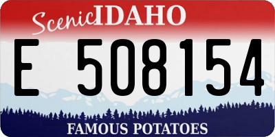 ID license plate E508154