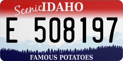 ID license plate E508197