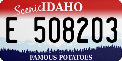 ID license plate E508203