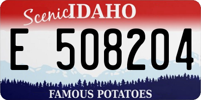 ID license plate E508204