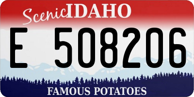 ID license plate E508206