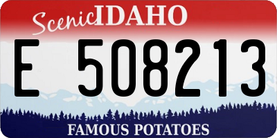 ID license plate E508213