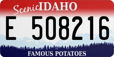 ID license plate E508216