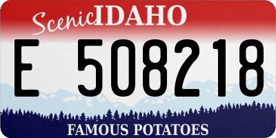 ID license plate E508218