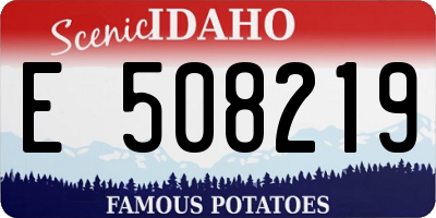 ID license plate E508219