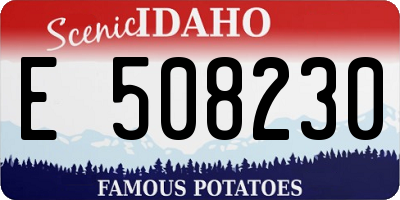 ID license plate E508230