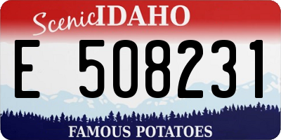 ID license plate E508231
