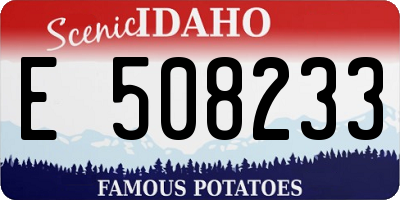 ID license plate E508233