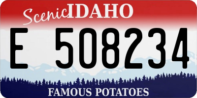 ID license plate E508234