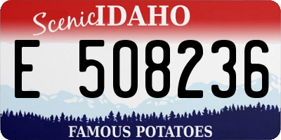 ID license plate E508236