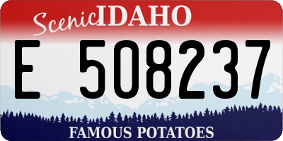 ID license plate E508237