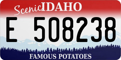 ID license plate E508238