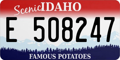 ID license plate E508247