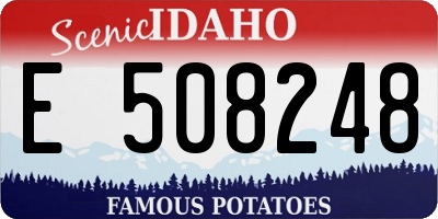 ID license plate E508248