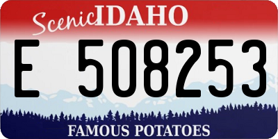 ID license plate E508253