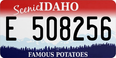 ID license plate E508256