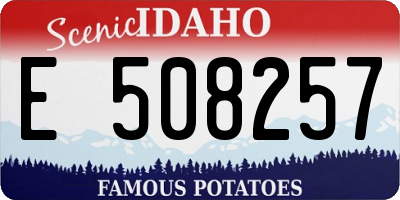 ID license plate E508257