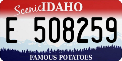 ID license plate E508259
