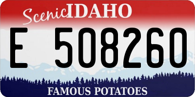 ID license plate E508260