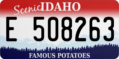 ID license plate E508263