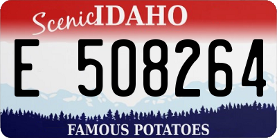 ID license plate E508264