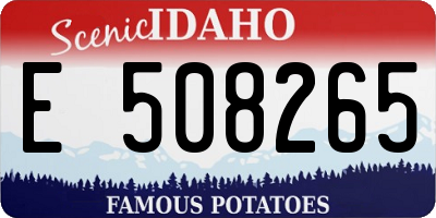 ID license plate E508265