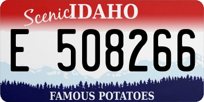 ID license plate E508266