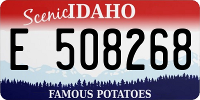 ID license plate E508268