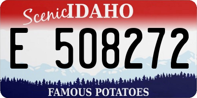 ID license plate E508272