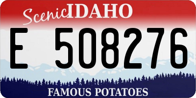 ID license plate E508276