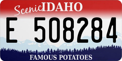 ID license plate E508284