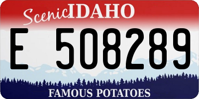 ID license plate E508289