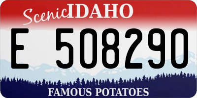 ID license plate E508290