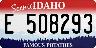 ID license plate E508293