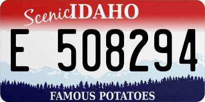 ID license plate E508294