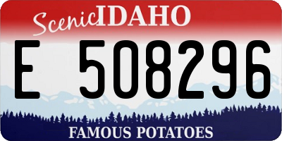 ID license plate E508296