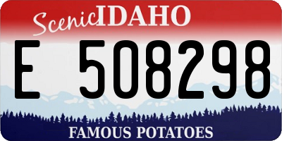 ID license plate E508298