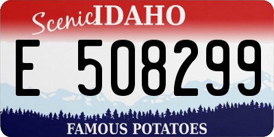 ID license plate E508299