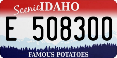 ID license plate E508300