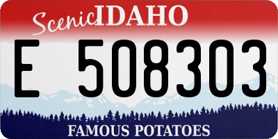ID license plate E508303