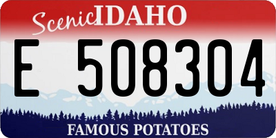 ID license plate E508304
