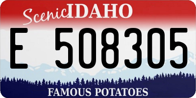 ID license plate E508305