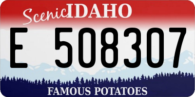 ID license plate E508307