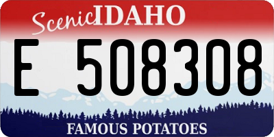 ID license plate E508308