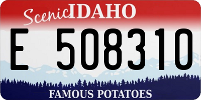 ID license plate E508310