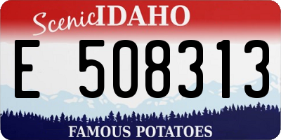 ID license plate E508313