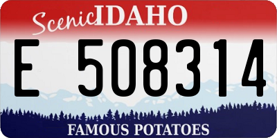 ID license plate E508314