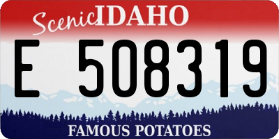 ID license plate E508319