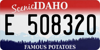 ID license plate E508320